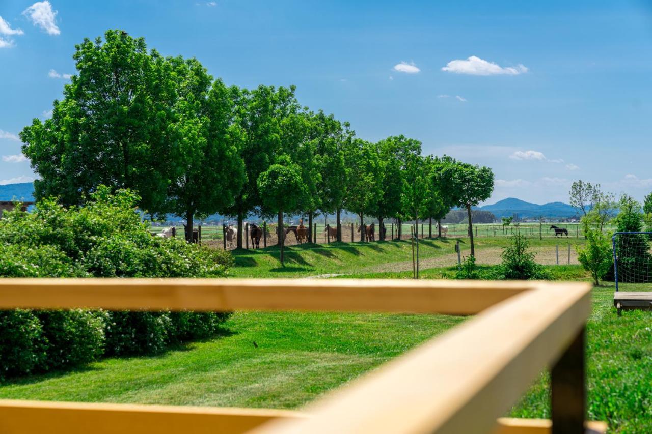Horse Glamping Park Hotell Cirkovce Exteriör bild