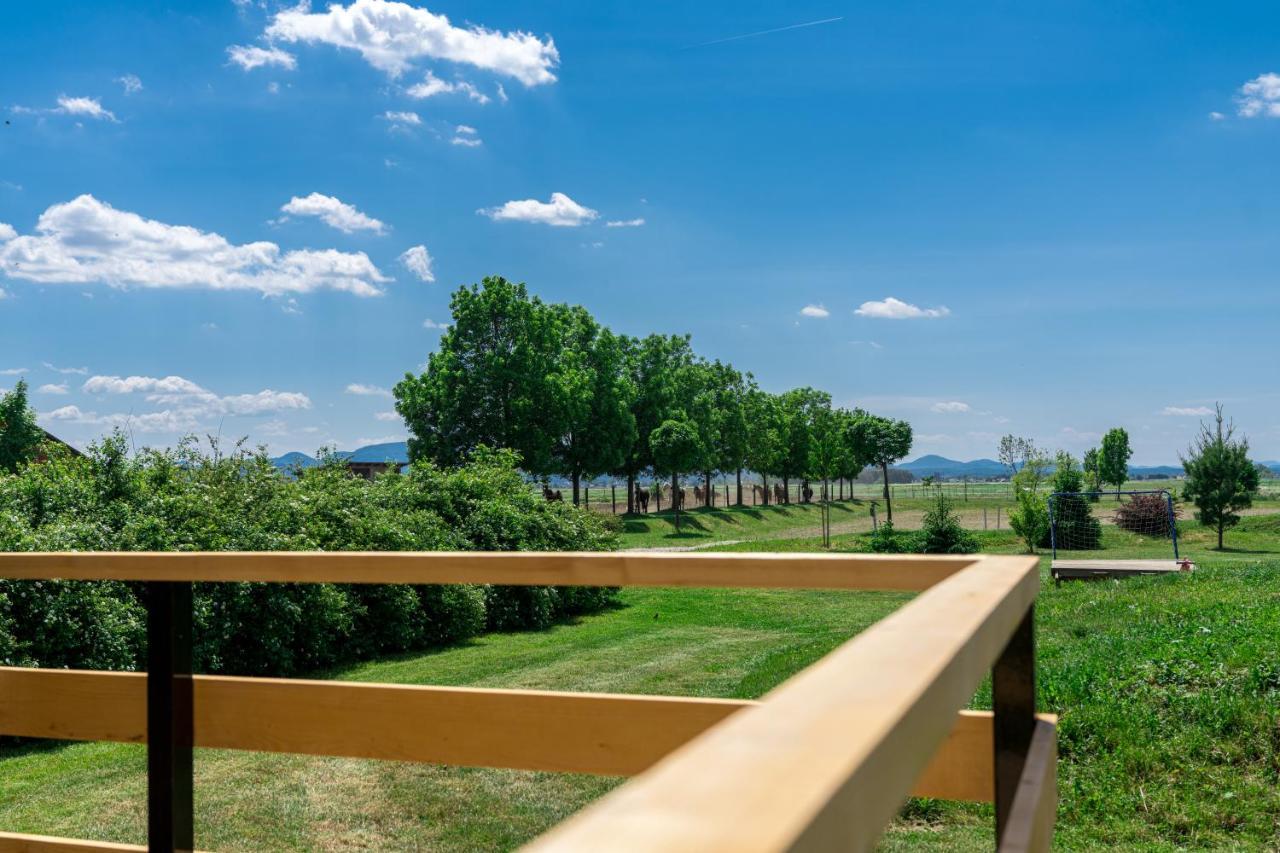 Horse Glamping Park Hotell Cirkovce Exteriör bild